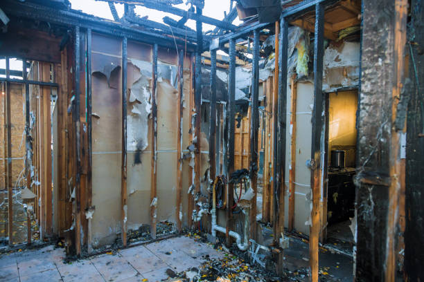 Professional Fire Damage Restoration technician working in Dania Beach, FL